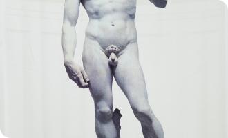  7. Michelangelo  David veduta frontale