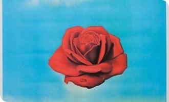 39. Salvador Dali  Meditative Rose