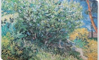 48. Vinsent Van Gogh  Lillia